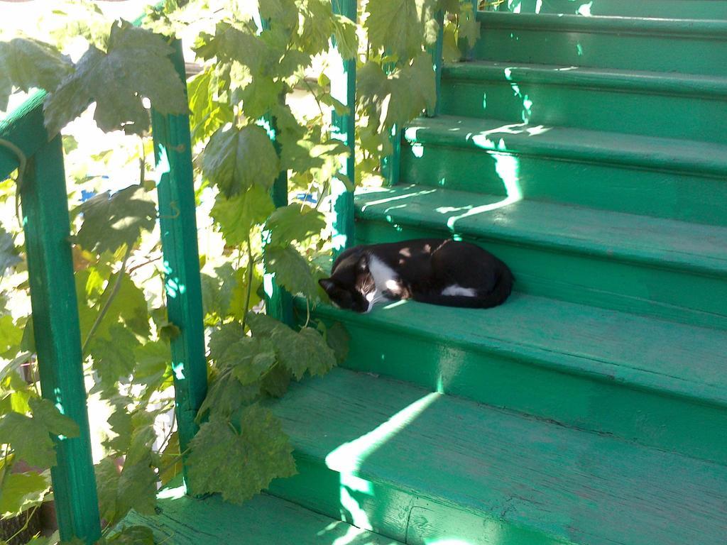 Green Stairs Guest House Tbilisi Eksteriør bilde