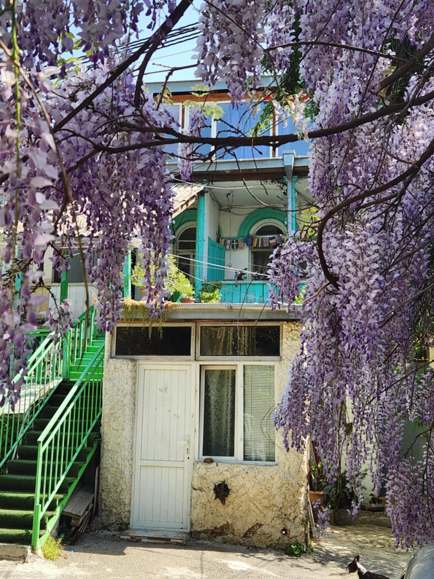 Green Stairs Guest House Tbilisi Eksteriør bilde