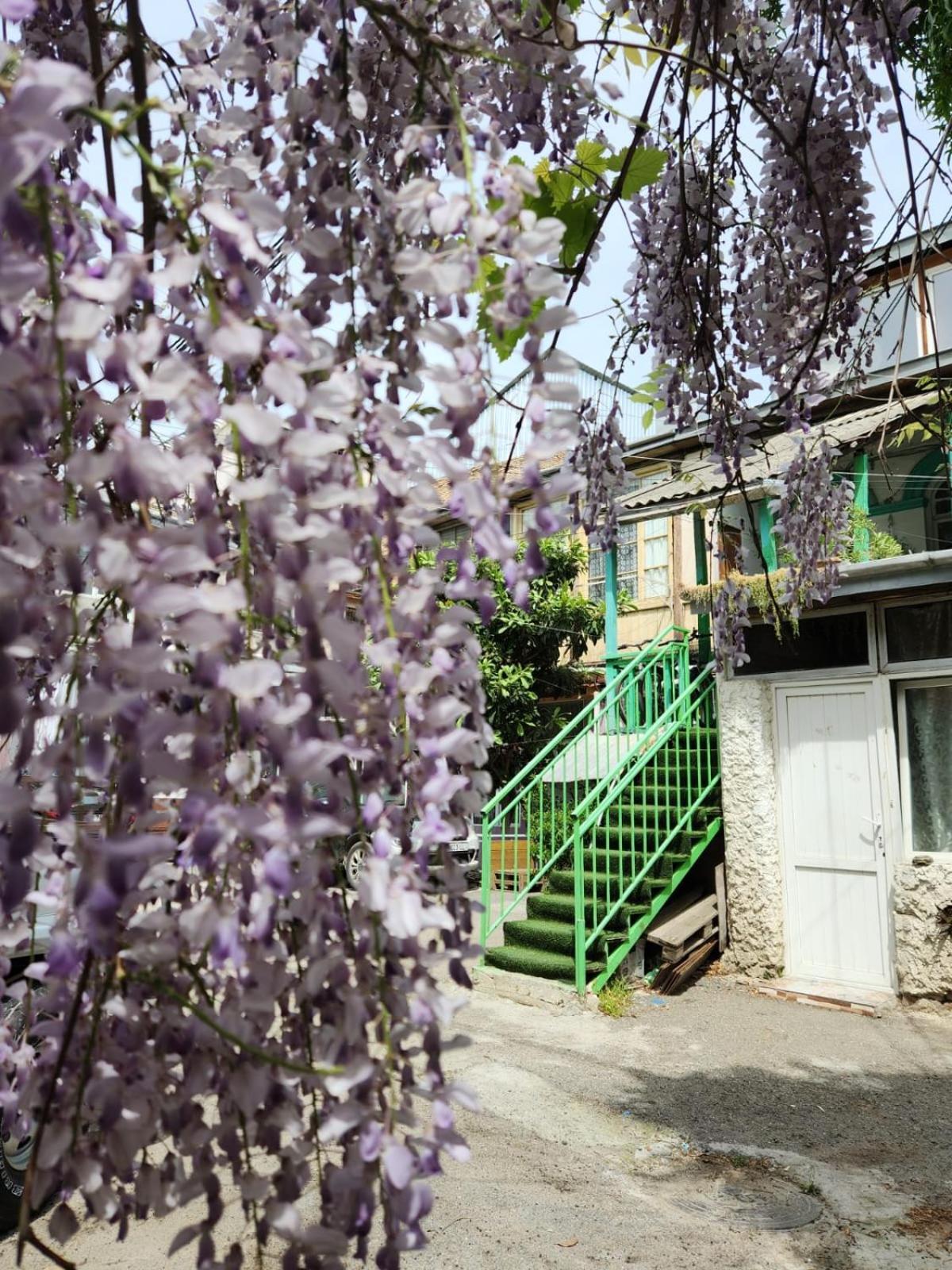 Green Stairs Guest House Tbilisi Eksteriør bilde