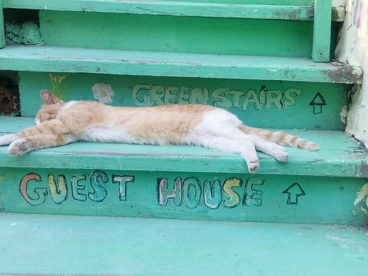Green Stairs Guest House Tbilisi Eksteriør bilde